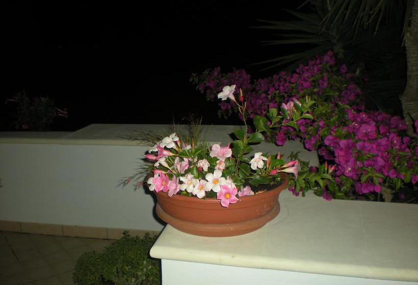 B&b Villa Colfiorito  | Gallipoli | Lecce | Italia 17