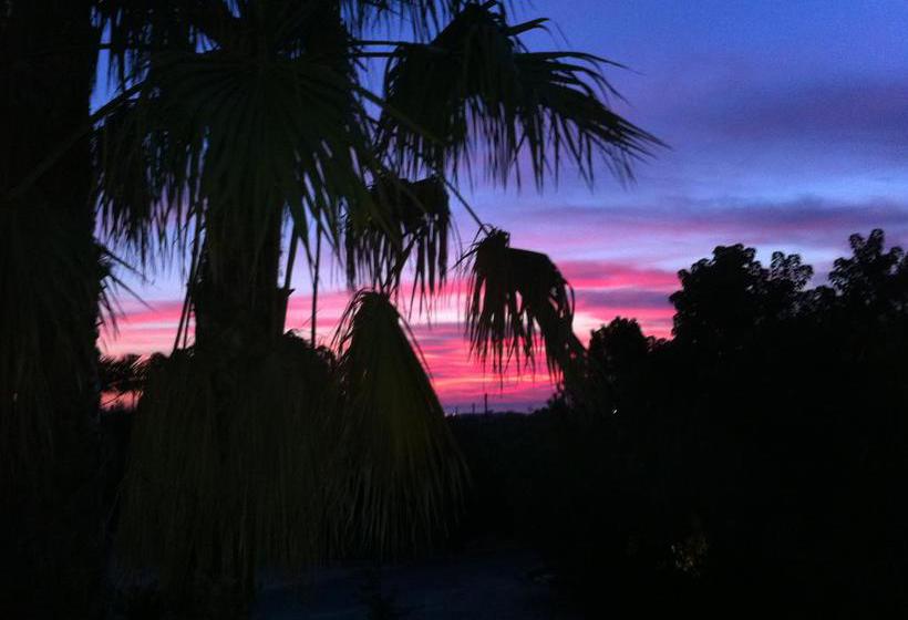 B&b Villa Colfiorito  | Gallipoli | Lecce | Italia 5