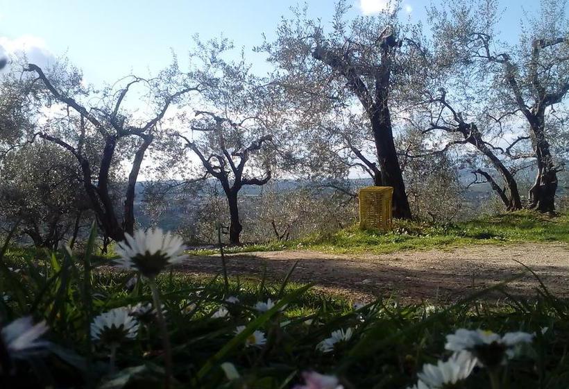 B&b Il Casale Dei Fiori  | Tivoli | Roma | Italia 1