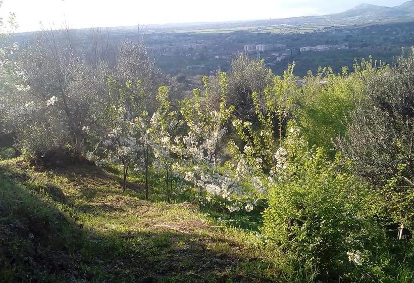B&b Il Casale Dei Fiori  | Tivoli | Roma | Italia 2