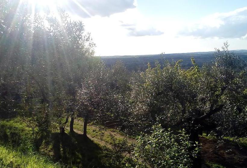 B&b Il Casale Dei Fiori  | Tivoli | Roma | Italia 3