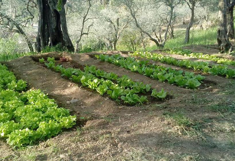 B&b Il Casale Dei Fiori  | Tivoli | Roma | Italia 5