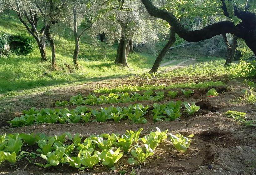 B&b Il Casale Dei Fiori  | Tivoli | Roma | Italia 6