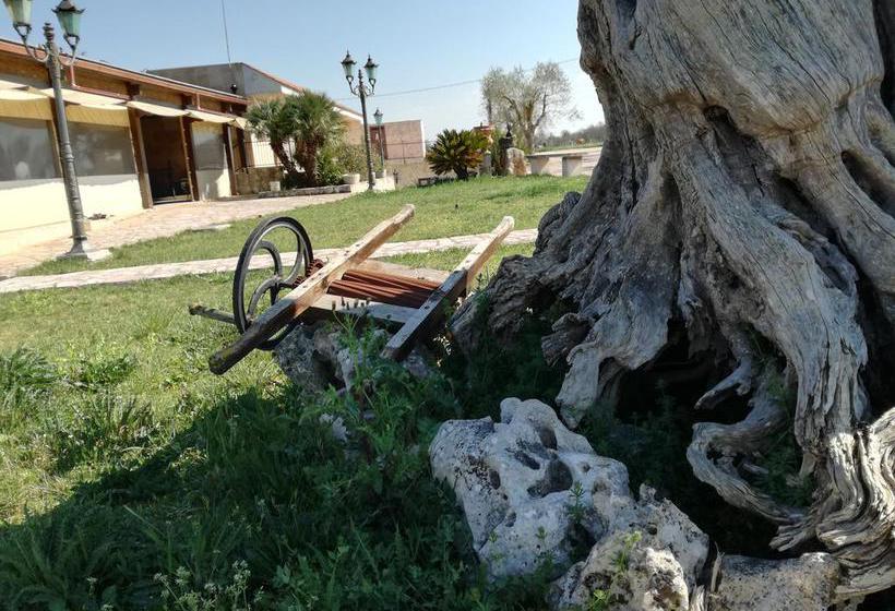 Hotel Corallo Eco Wellness  | Noci | Bari | Italia 16