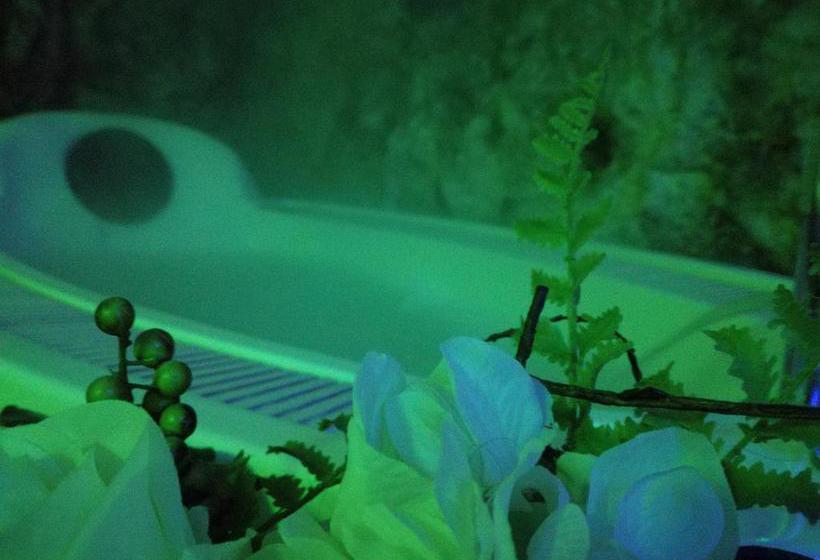 Hotel Corallo Eco Wellness  | Noci | Bari | Italia 4