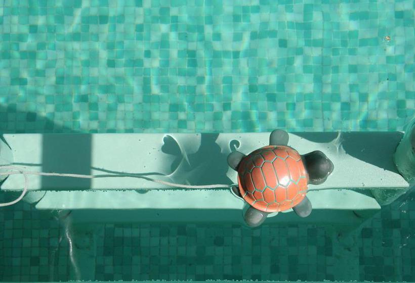 Bed and Breakfast Albergo Garnì Villa Moretti  | Riva del Garda | Trento | Italia 16