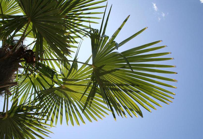 Bed and Breakfast Albergo Garnì Villa Moretti  | Riva del Garda | Trento | Italia 17