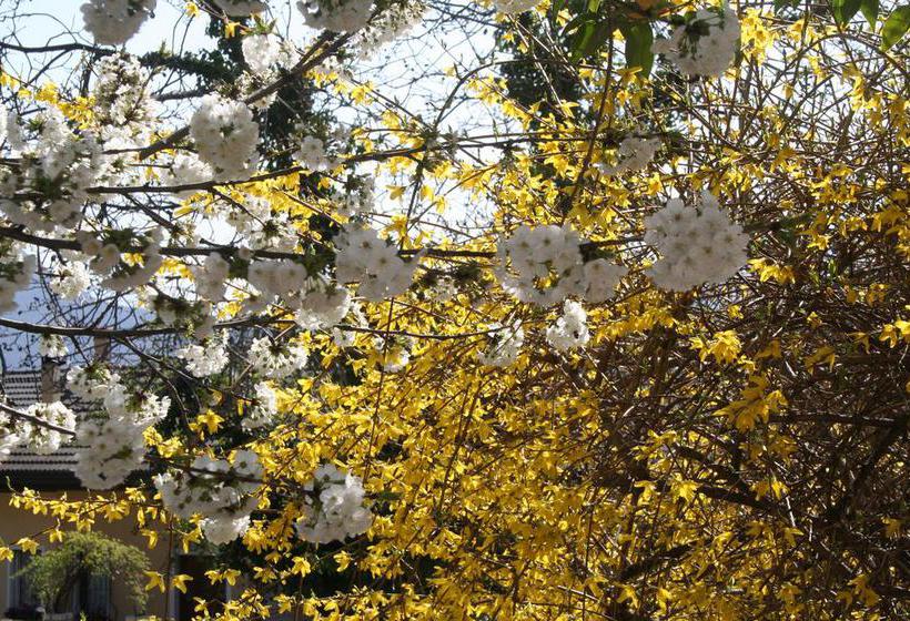 Bed and Breakfast Albergo Garnì Villa Moretti  | Riva del Garda | Trento | Italia 20