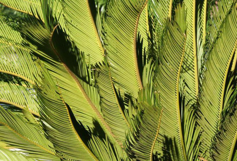 Bed and Breakfast Albergo Garnì Villa Moretti  | Riva del Garda | Trento | Italia 7