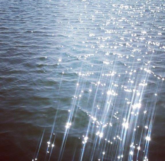 Bed and Breakfast Sol&mare  | Viareggio | Lucca | Italia 17