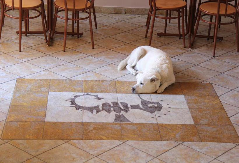 Hotel Tirrenia  | Lido di Ostia | Roma | Italia 13