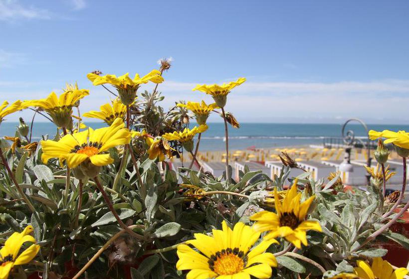 Hotel Tirrenia  | Lido di Ostia | Roma | Italia 8