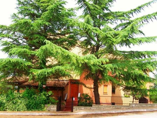 Bed and Breakfast Villa Rossana  | Matera | Matera | Italia 7