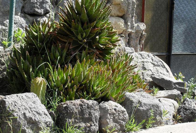 Hotel La Mandorla  | Ischia | Napoli | Italia 19