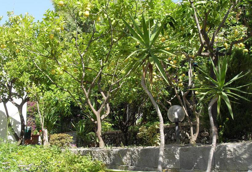 Hotel La Mandorla  | Ischia | Napoli | Italia 20