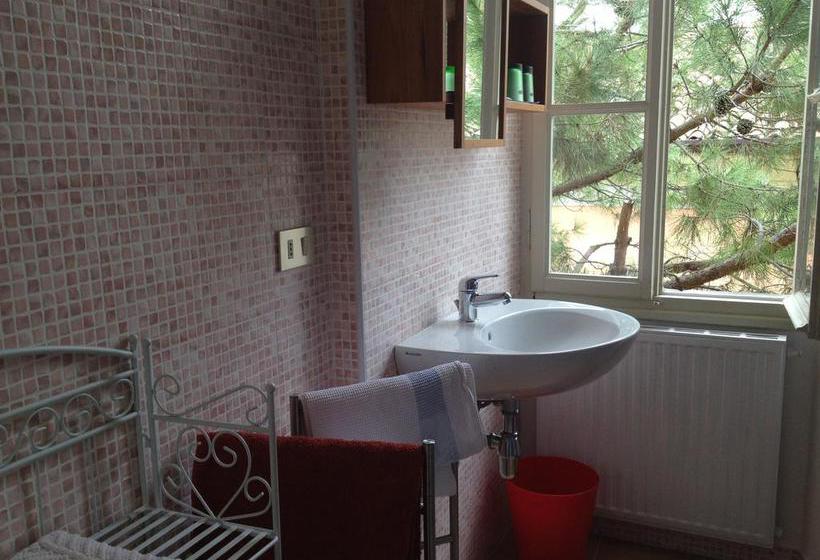 Hotel Albergo Gargnano  | Gargnano | Brescia | Italia 2