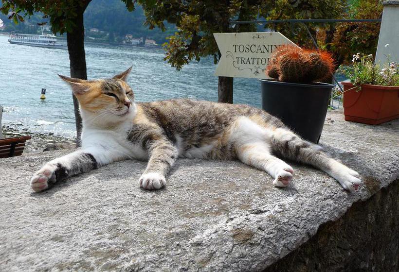 Hotel Villa Toscanini  | Stresa | Verbano-Cusio-Ossola | Italia 5