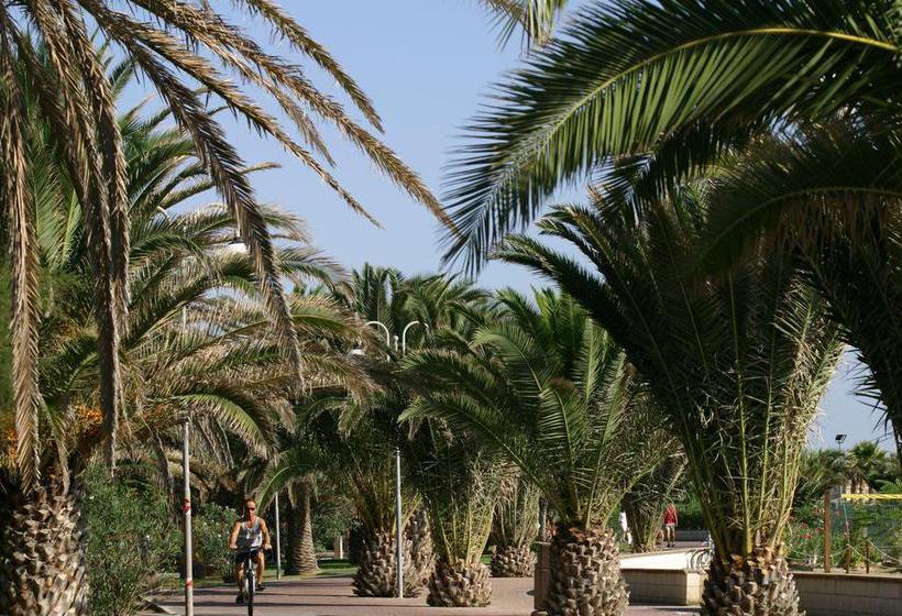 Hotel La Sirenetta  | Tortoreto | Teramo | Italia 4