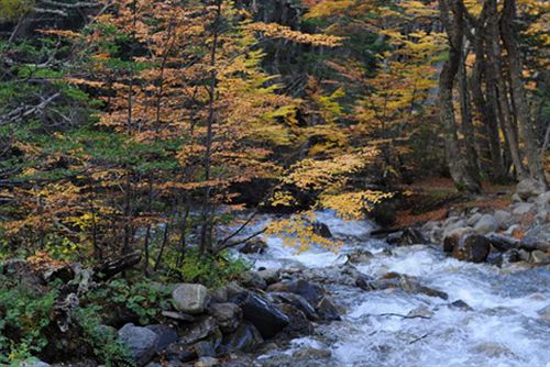 Hotel Cumbres Del Martial  | Ushuaia | Tierra del Fuego | Argentina 17