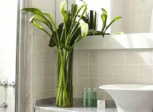 Hotel Five Cool Rooms  | Buenos Aires | Buenos Aires | Argentina 4