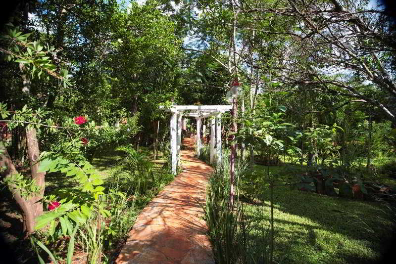 Myhotel Eco Lodge  | Iguazu Falls National Park | Misiones | Argentina 7