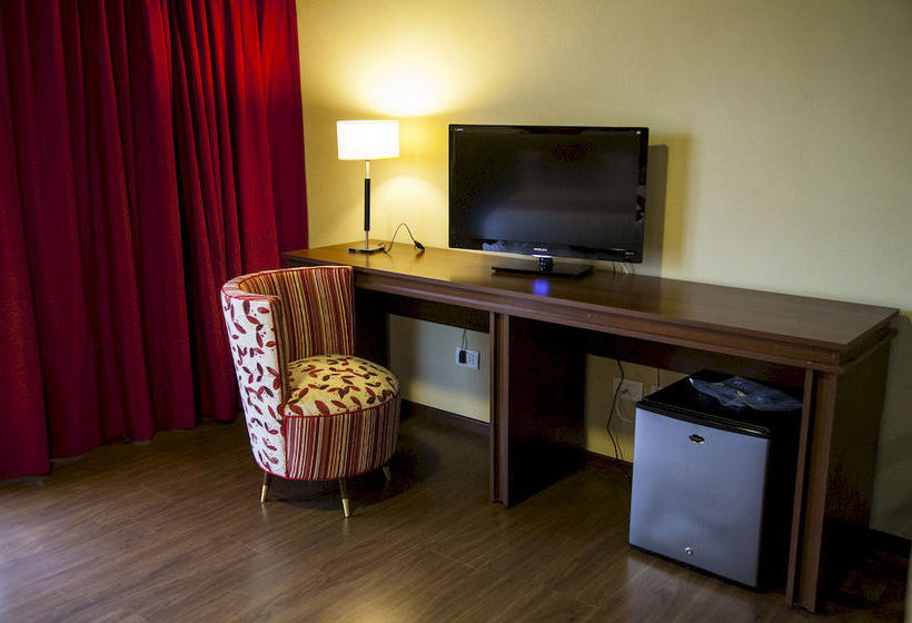 First Palermo Viejo Hotel  | Buenos Aires | Buenos Aires | Argentina 3