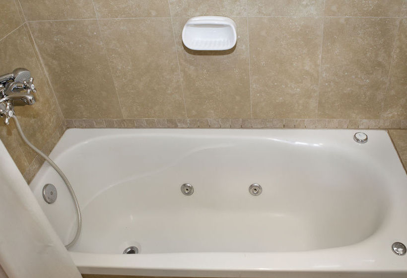 Color Botánico  | Buenos Aires | Buenos Aires | Argentina 8