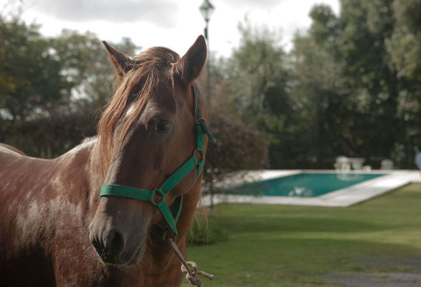 Hotel Las Moras  | Villa San Lorenzo | Salta | Argentina 10