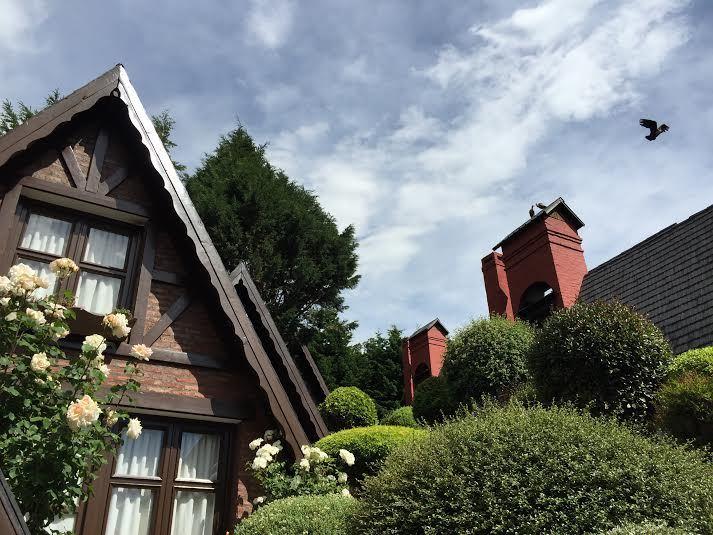 Cabañas Antilhue  | San Martín de los Andes | Neuquén | Argentina 14