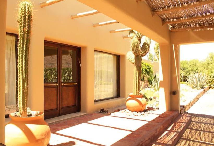 Las Pircas Hotel Boutique & Bungalow  | Tinogasta | Catamarca | Argentina 20