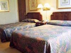 Hotel Adams Mark Philadelphia  | Philadelphia | Pennsylvania | United States 2