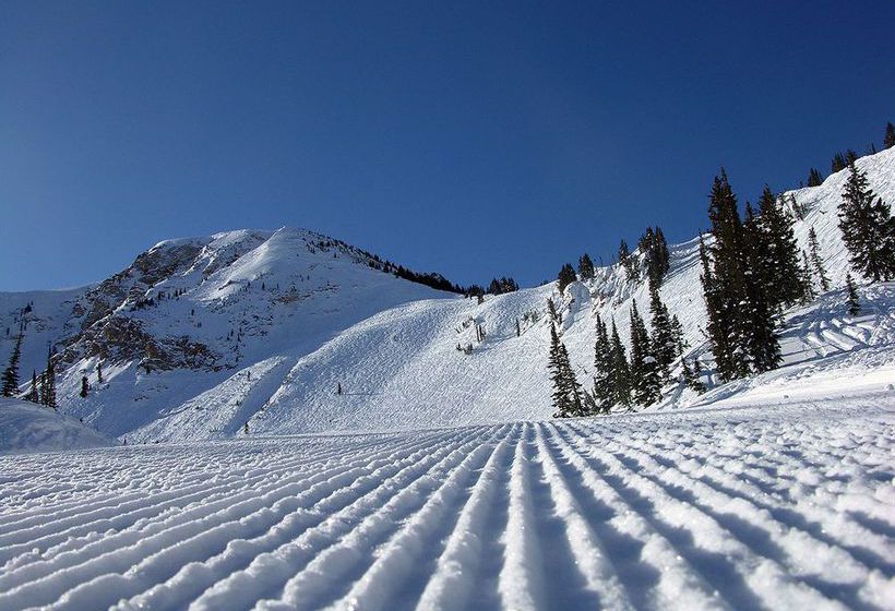 Hotel Alta Peruvian Lodge  | Alta | Utah | Hotel negli Stati Uniti 3