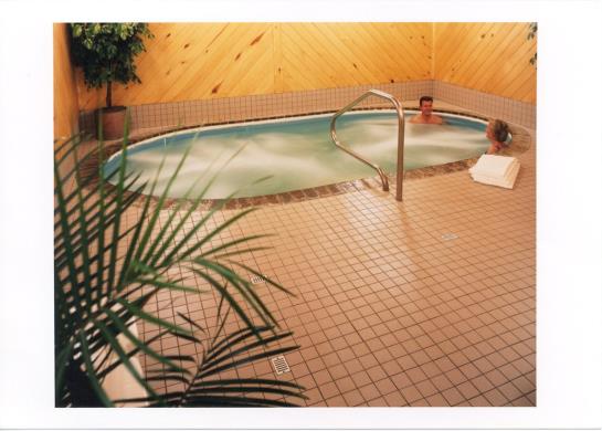 Hotel Best Western Plus Inn & Suites  | Grand Marais | Minnesota | United States 12