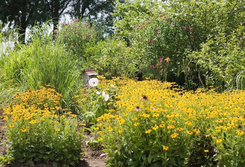 Hôtel Best Western Acorn Inn  | Cameron | Missouri | Hôtels aux États-Unis 2