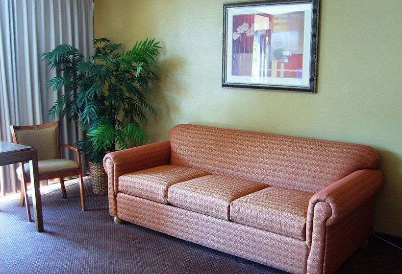 Hotel Best Western El Rey Inn & Suites  | Cedar City | Utah | United States 14