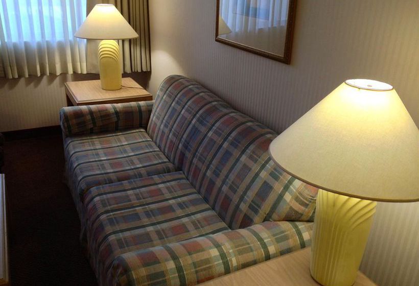 Hotel Best Western El Rey Inn & Suites  | Cedar City | Utah | United States 16