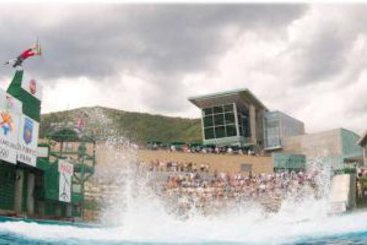 Hotel Best Western Executive Inn  | Seattle | Washington | United States 5