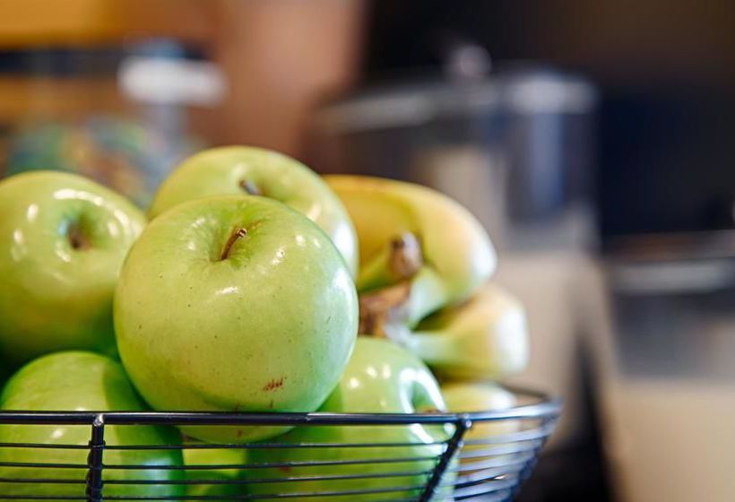 Hotel Best Western Charleston Inn  | Charleston | South Carolina | United States 5