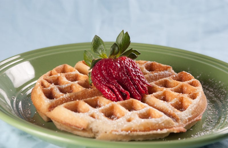 Best Western King Salmon Motel  | Soldotna | Alaska | United States 16