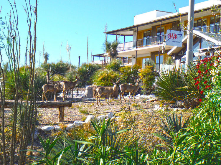 Hotel Landmark Lookout Lodge  | Tombstone | Arizona | United States 13
