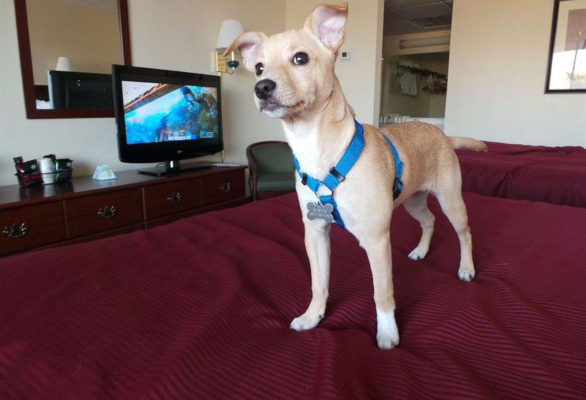 Hotel Best Western Mezona Inn  | Mesa | Arizona | United States 9