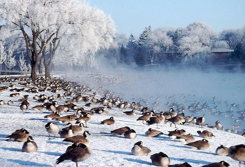 Hotel Ramada Rochester Mayo Clinic Area  | Rochester | Minnesota | United States 12