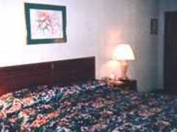 Hotel Best Western Of Calhoun