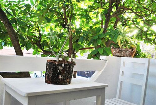 Hotel Elefante  | Playa del Carmen | Quintana Roo | México 12