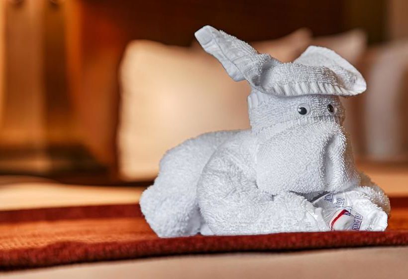 Hotel Best Western Plus Town & Country Inn  | Cedar City | Utah | United States 3