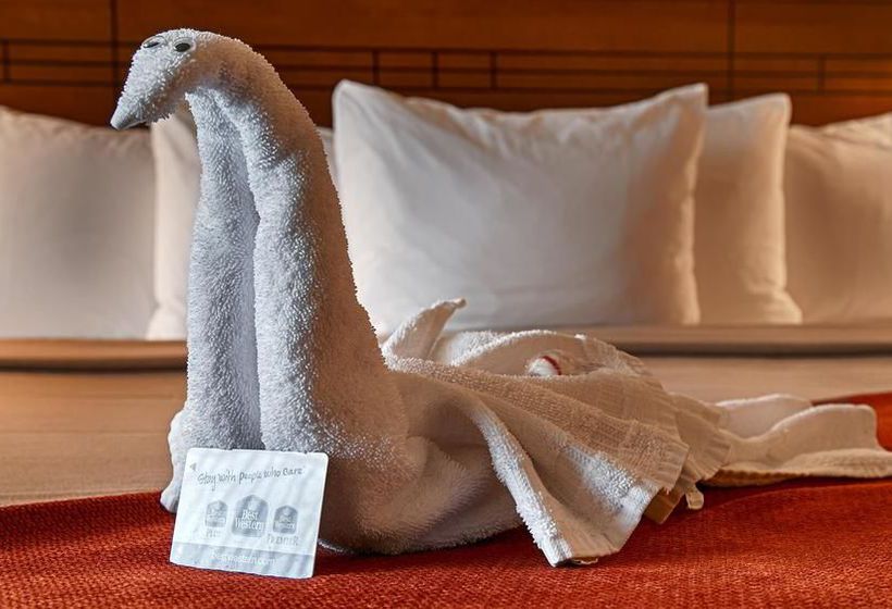 Hotel Best Western Plus Town & Country Inn  | Cedar City | Utah | United States 9