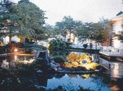 Hotel Best Western Winrock Inn Albuquerque New Mexico