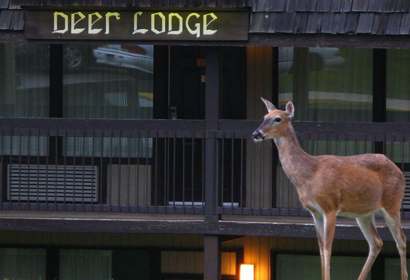 Canaan Valley Resort & Guest Services  | Davis | West Virginia | United States 4