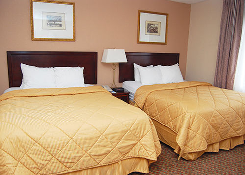 Hotel Comfort Inn & Suites Knoxville  | Knoxville | Tennessee | United States 18
