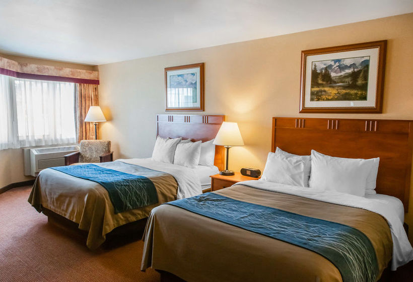 Hotel Comfort Inn  | Estes Park | Colorado | United States 18
